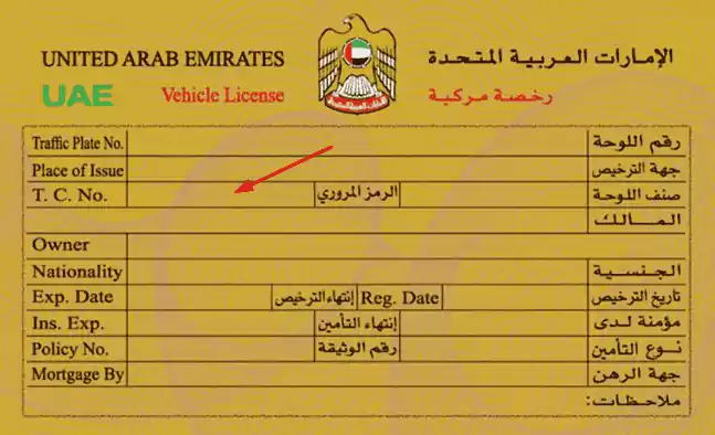 What is a UAE Traffic File Number?