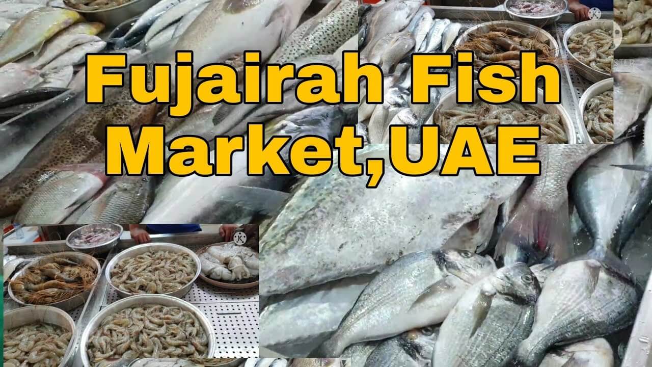 Fujairah Fish Market