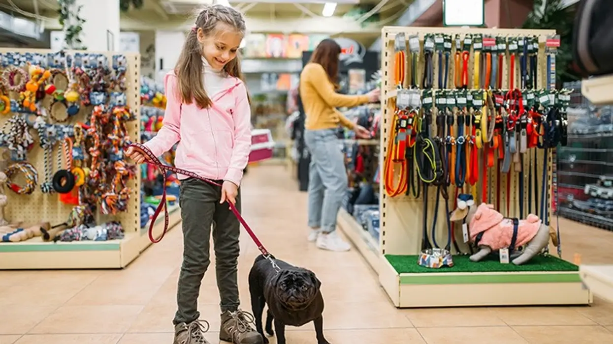 Where to Find the Best Pet Supplies in the UAE