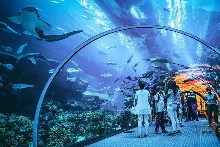 Dubai Aquarium