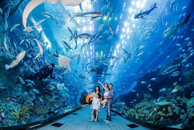 A Record-Breaking Aquatic Experience