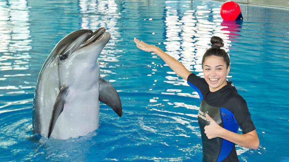 A Landmark for Family Entertainment in Dubai