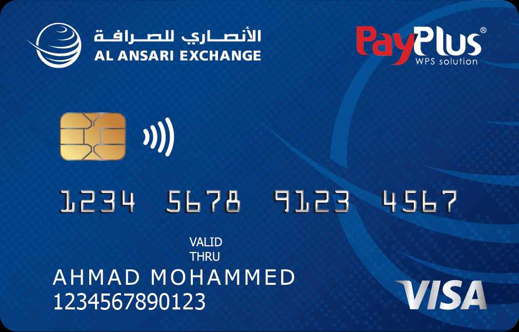 payplus card balance check online