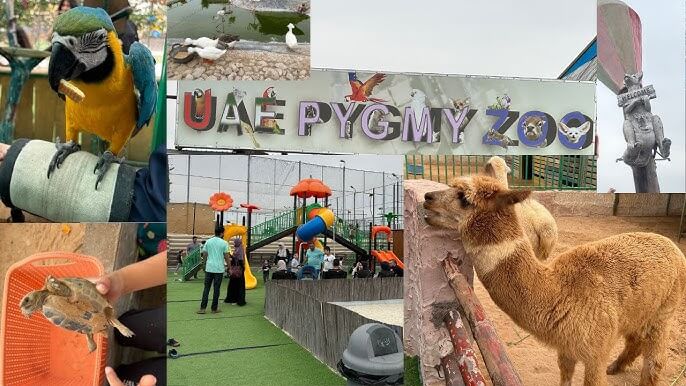 pygmy zoo ajman