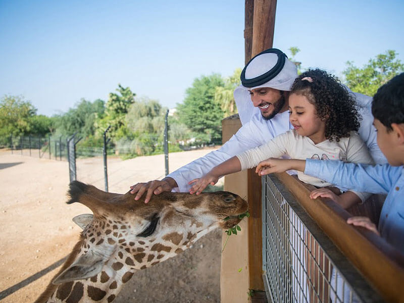 Things to Do at Pygmy Zoo Ajman