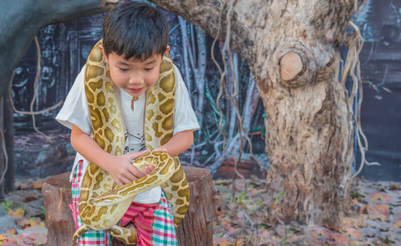 Why Visit Umm Al Quwain Zoo?