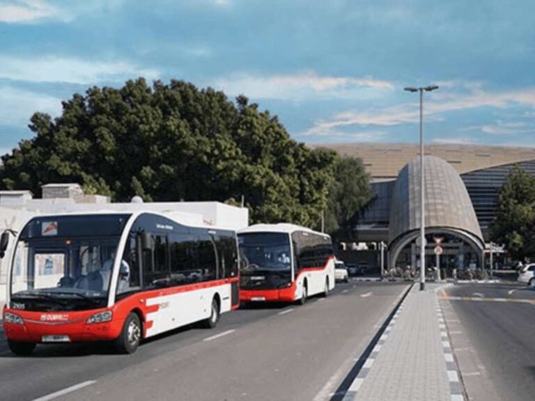 C26 Bus