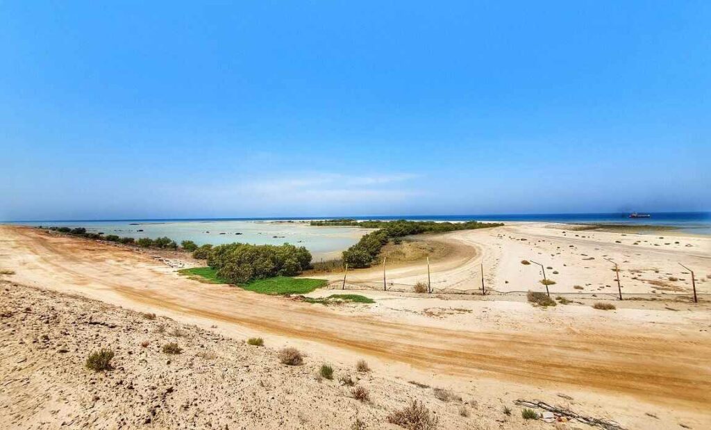 Where is Dalma Island Located?