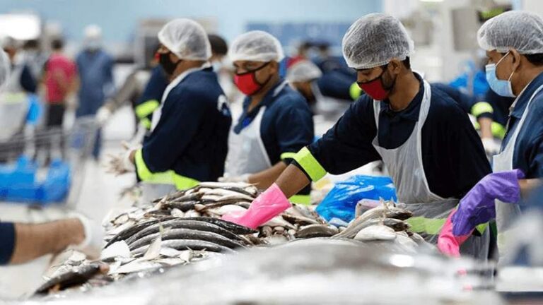 al karama fish market