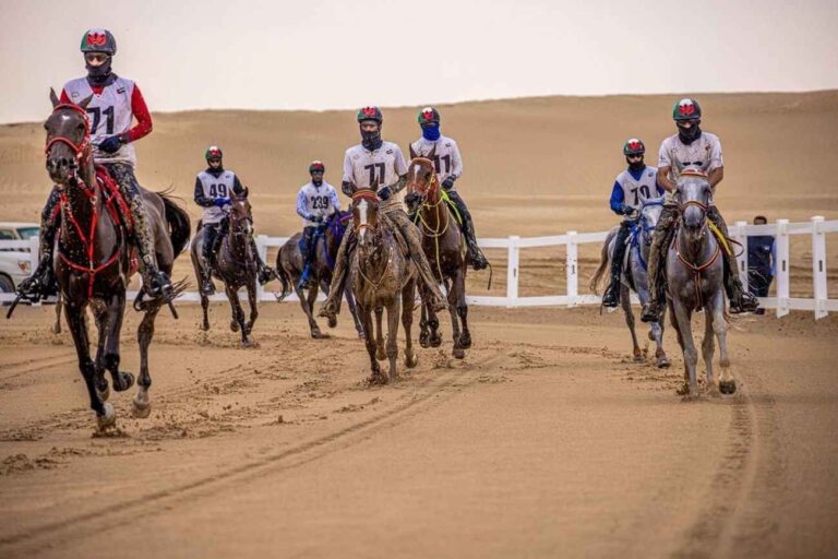dubai endurance city