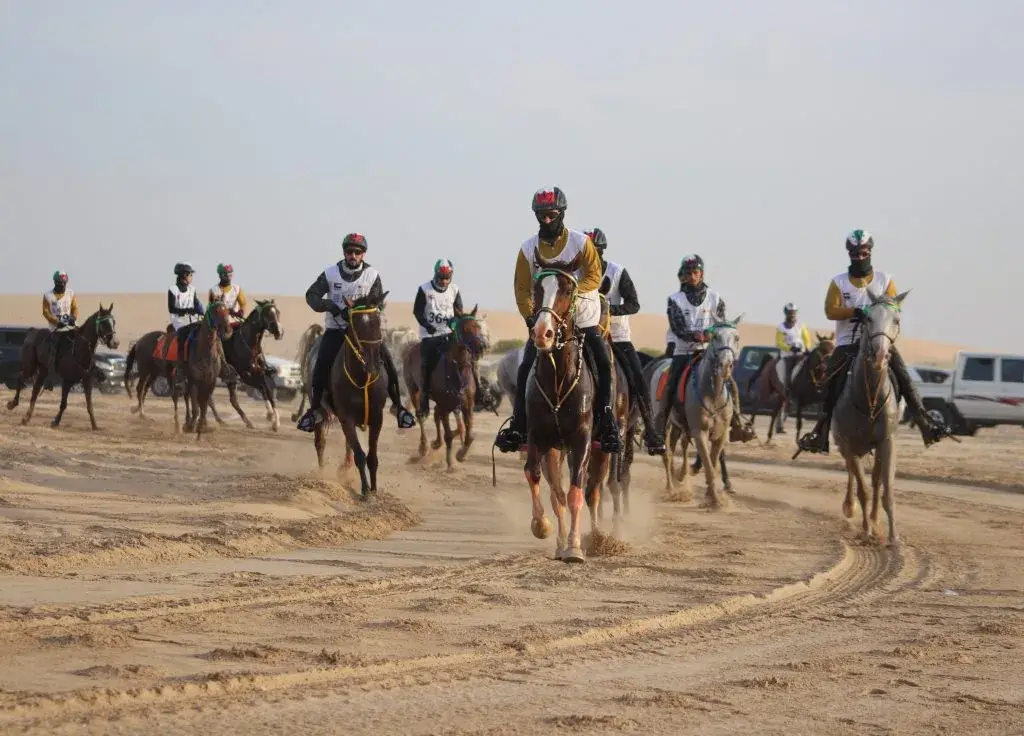 A Global Hub for Endurance Horse Racing