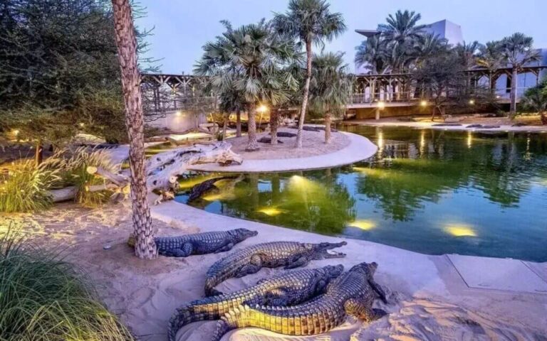 Dubai Crocodile Park