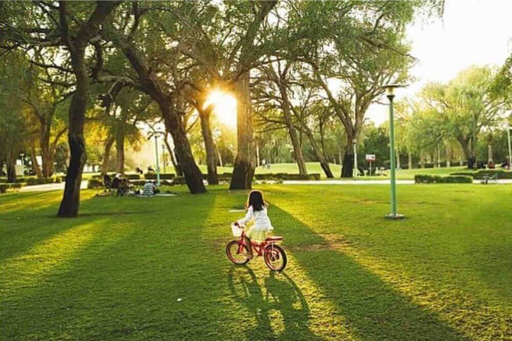 Where is Mushrif Park Located?