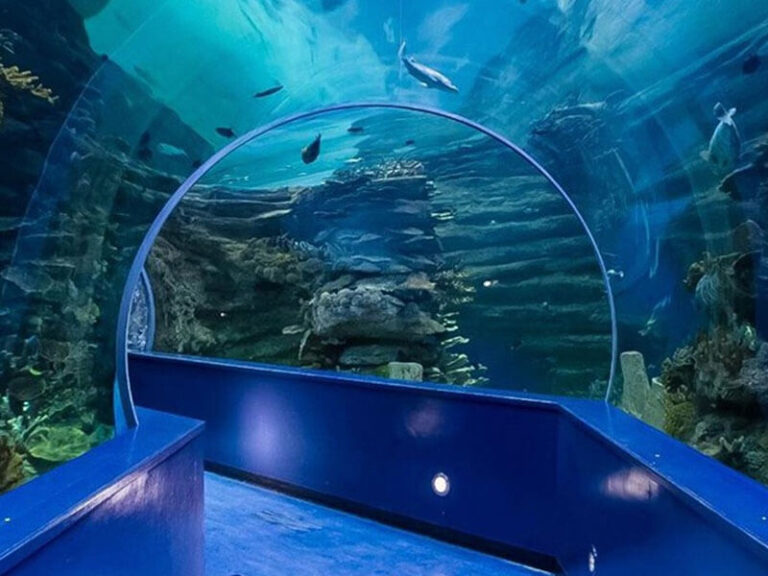 Sharjah Aquarium