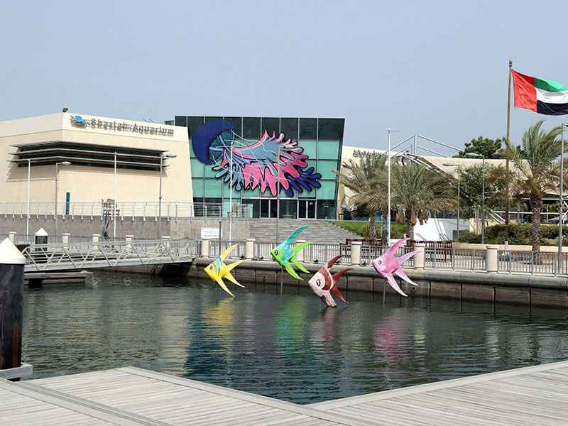 What Makes Sharjah Aquarium Special
