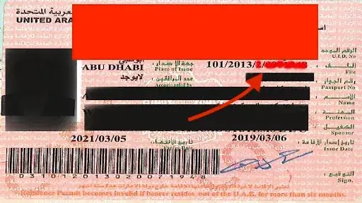 Understanding UAE Visa Issuance: Why the Portal Matters