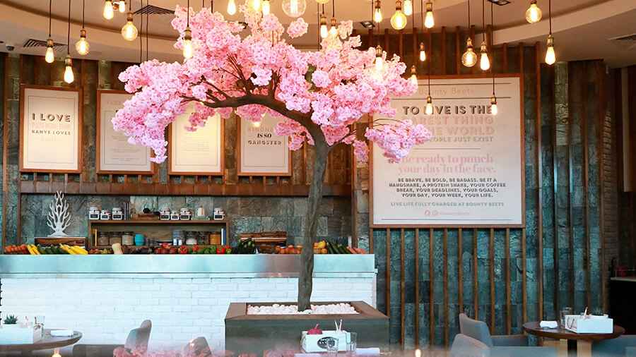 Bounty Beets – Mina Seyahi