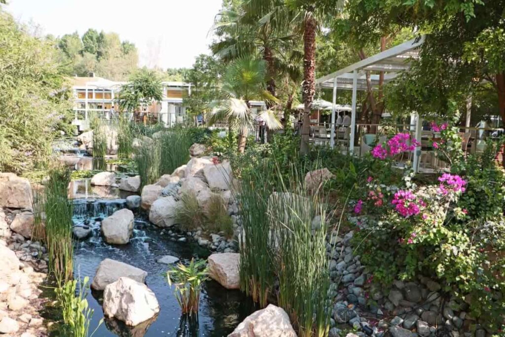 The Farm – Al Barari