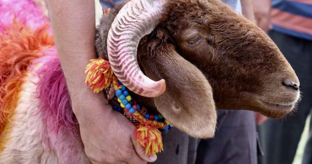 Eid Al Adha: Potential 6-Day Break