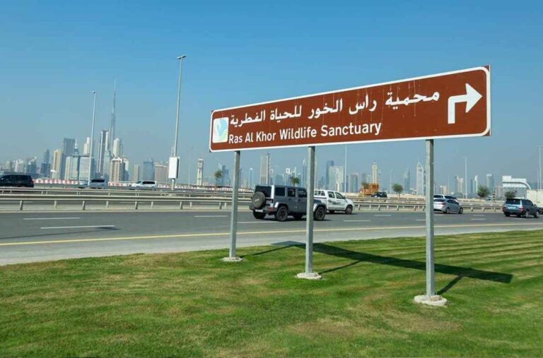 Ras Al Khor Road